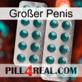 Großer Penis dapoxetine2